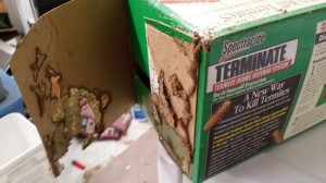 Gilbert termite control