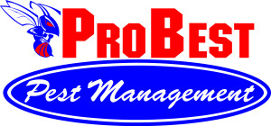 Pro Best Logo