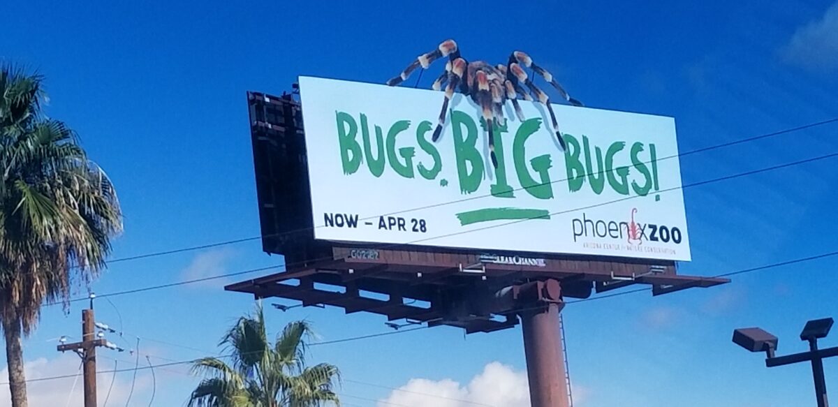 Bugs BIG Bugs