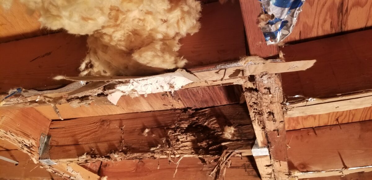 Wood damage