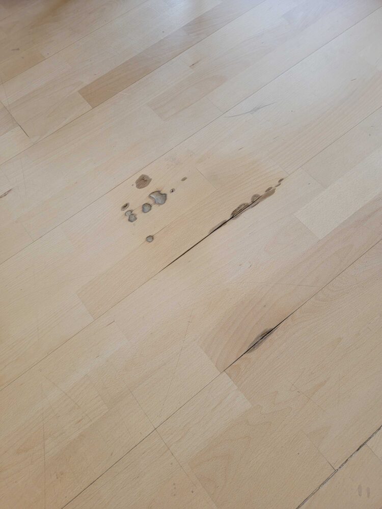 Wood Floor Damage