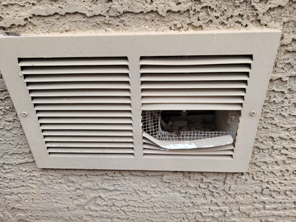 Vents & Rodents